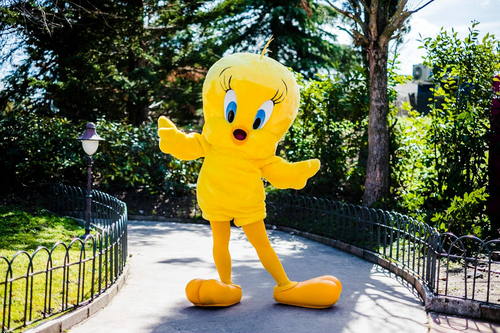 Parque Warnerの日差しの中でトゥイティ